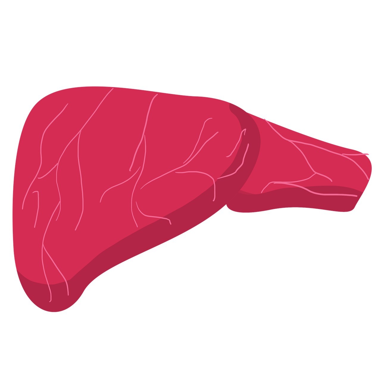 肝胆健康的自我监测方法